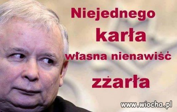 Nowe przysłowie. Przysłowia mądrością narodu