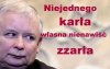 Nowe przysłowie. Przysłowia mądrością narodu
