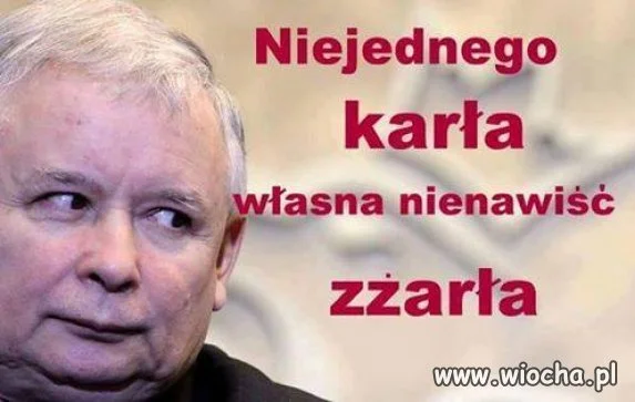 Nowe przysłowie. Przysłowia mądrością narodu