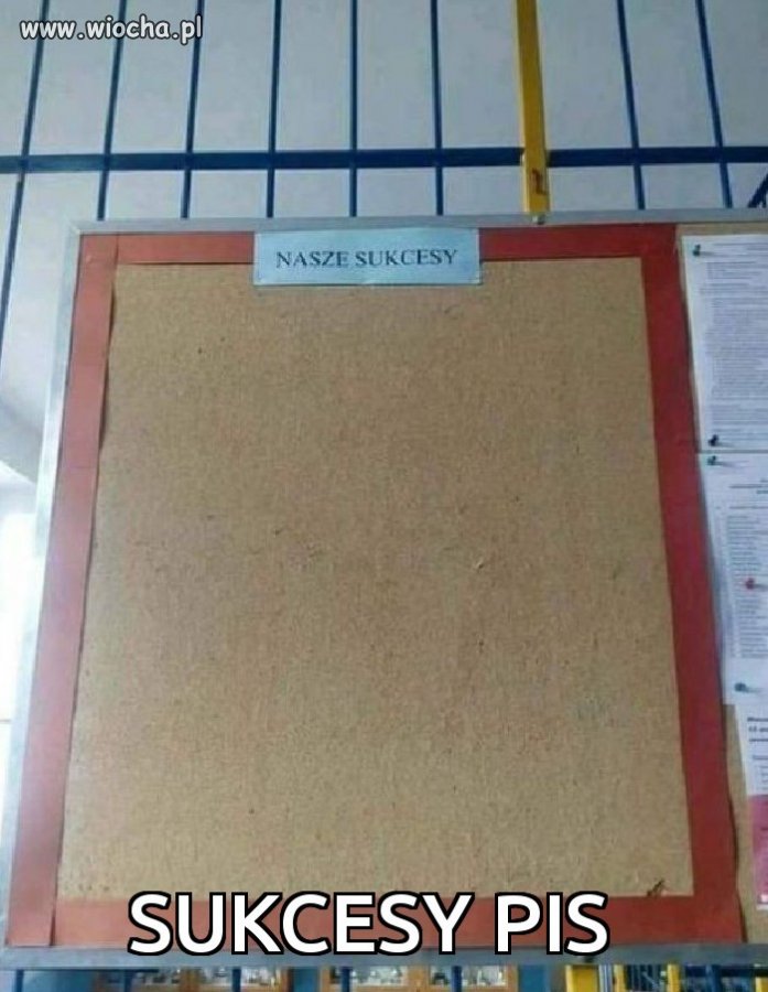 Jakieś sukcesy?