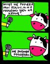 500+ na krowę