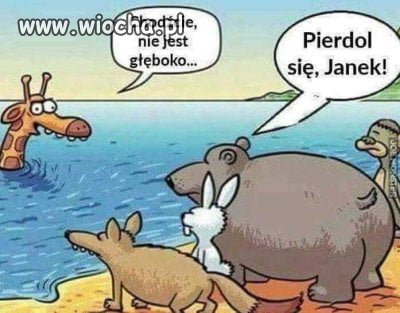 Janek mistrz