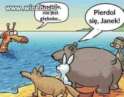 Janek mistrz
