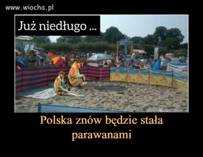 Czas parawaningu nadchodzi...