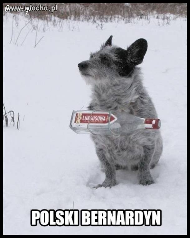 Polski