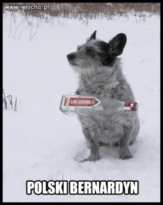 Polski