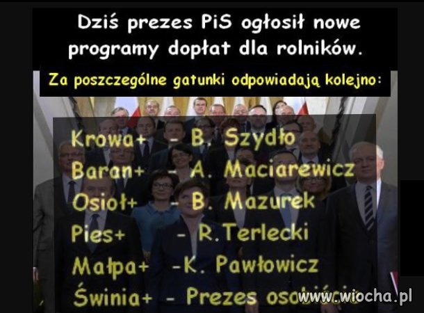Z nowych dopłat skorzystają między innymi: