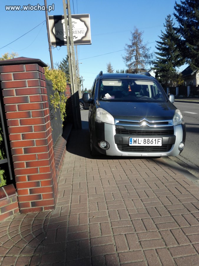 Kolejna ameba nie potrafi zaparkować 