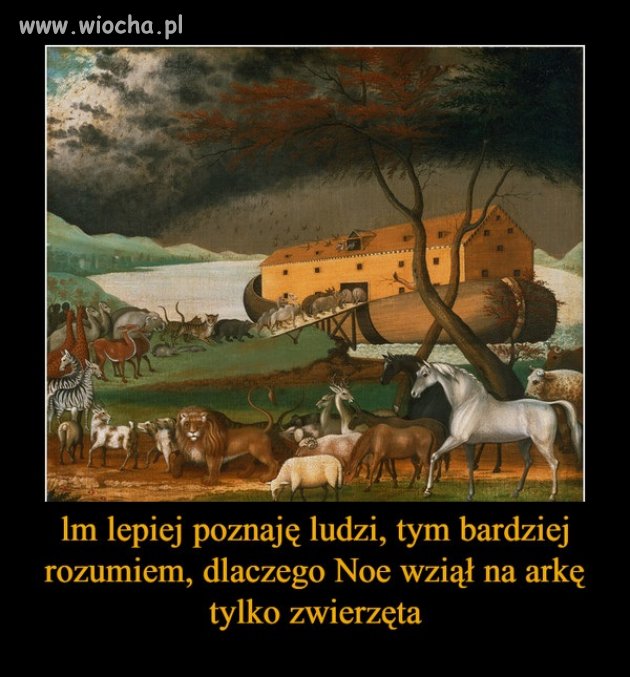 Noe 
