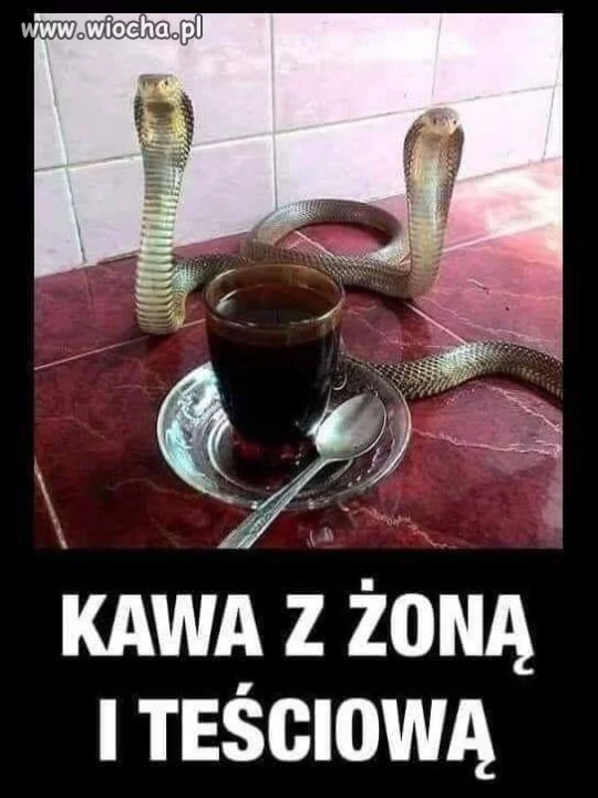 Ta kawa może być