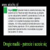 Dzisiaj chamstwo jest dumne z bycia chamstwem