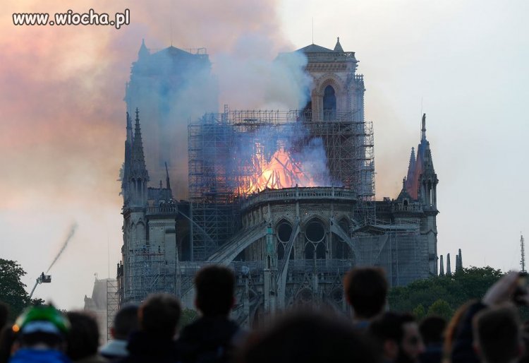 Remont katedry Notre Dame wg francuzów.