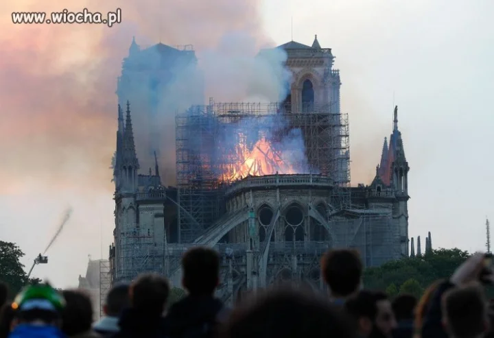 Remont katedry Notre Dame wg francuzów.