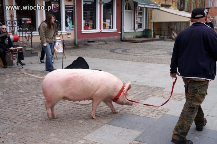 Nadchodzi nowa moda wśród mieszkańców miast. 