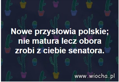 Nowe przysłowie