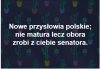 Nowe przysłowie