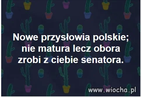 Nowe przysłowie