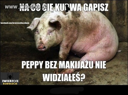 Peppa