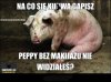 Peppa