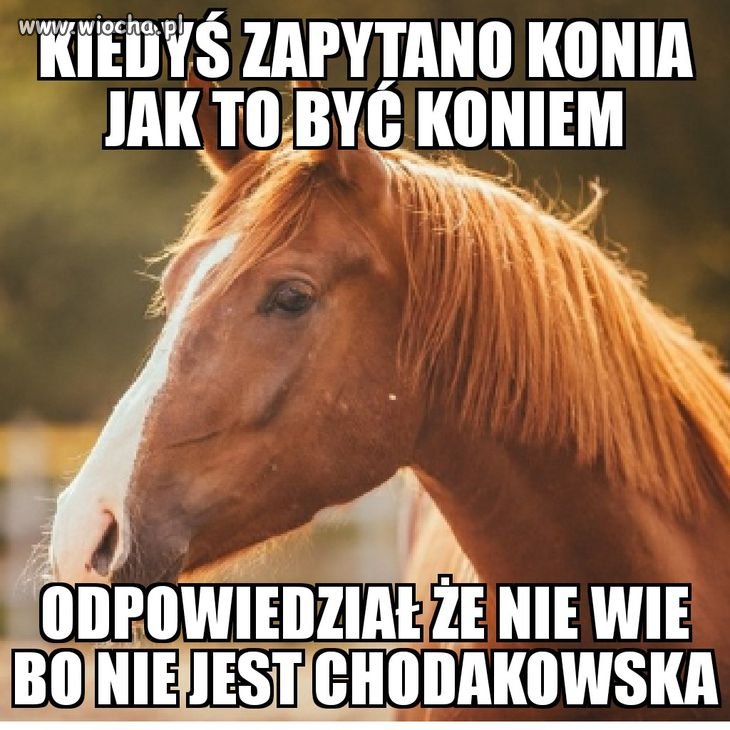 Trochę złośliwości