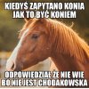 Trochę złośliwości