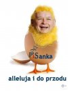 Święta