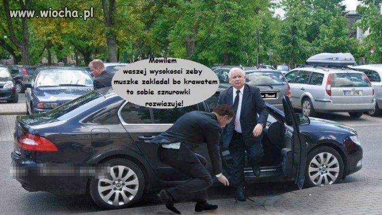Podpowiedz...