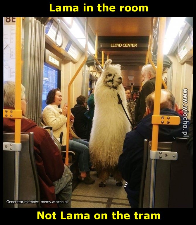 Lama in the room