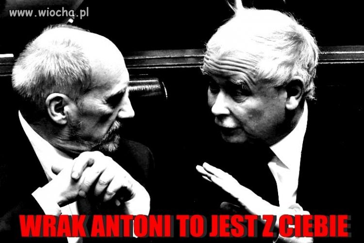 Ja tu widzę