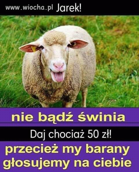 My też