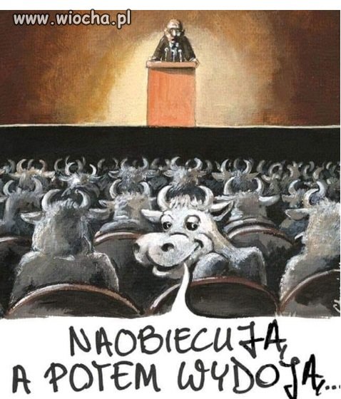 Obietnice wyborcze