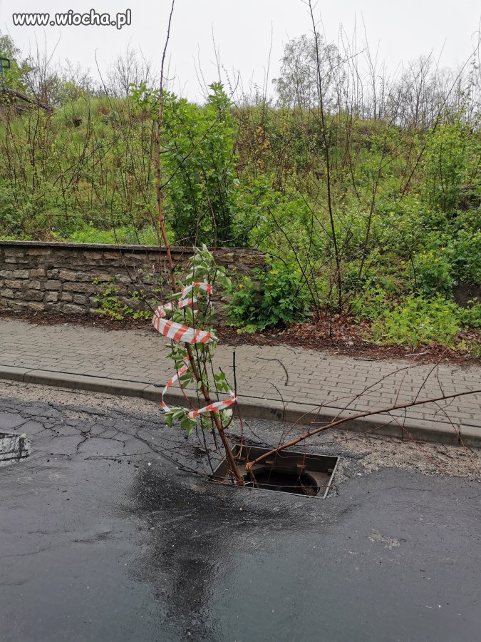 Drogowy System Ostrzegawczy 