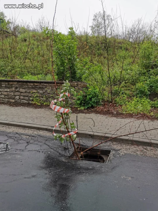 Drogowy System Ostrzegawczy 