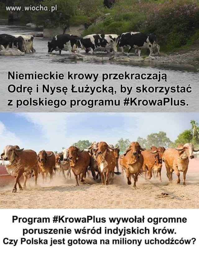 Nie chcemy tu