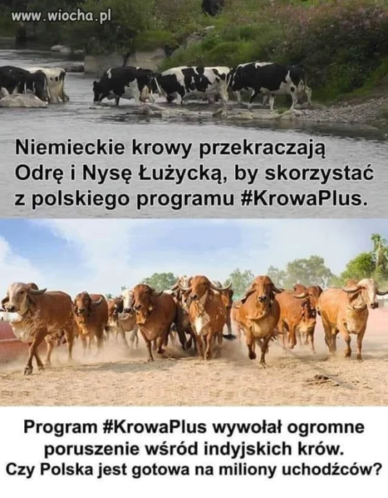 Nie chcemy tu