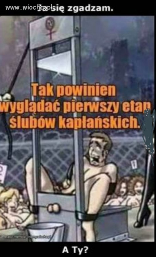 Ja się zgadzam