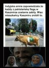 To dopiero trollowanie 