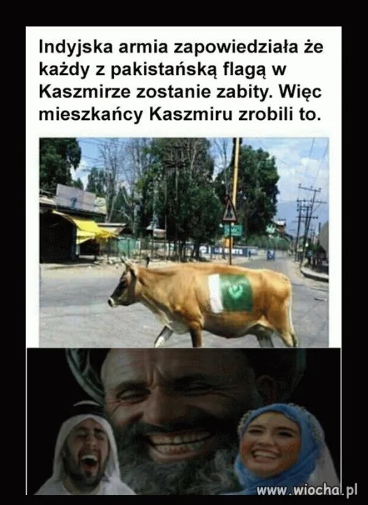 To dopiero trollowanie 