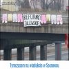 Większość się zgadza