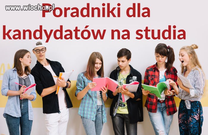 Praca tylko po studiach i dla absolwentów studiów