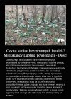 Tymczasem w Lublinie