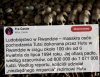 Takie, rzeczy za przyzwoleniem kościoła!!!