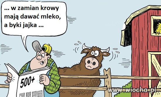 Prezes zarządził