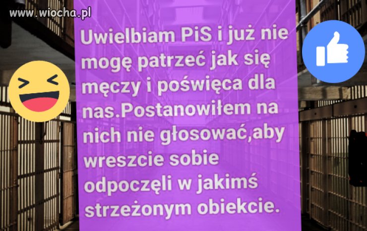 Uwielbiacie pis