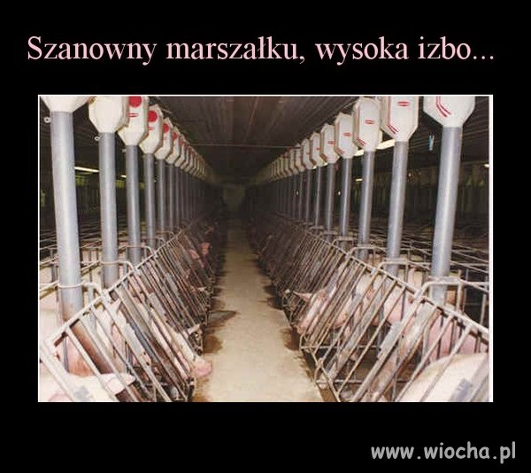 Wysoka izbo...
