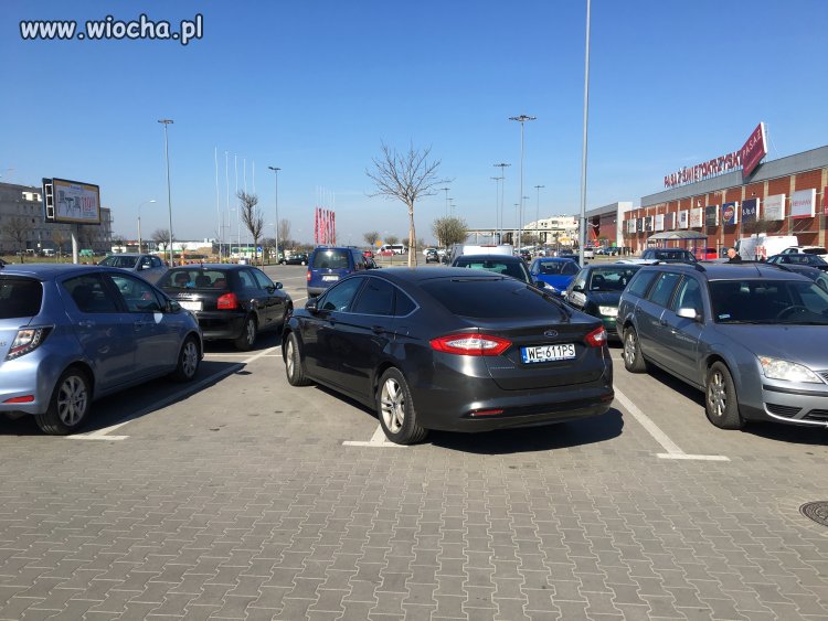 Gorączka przedświątecznych zakupów