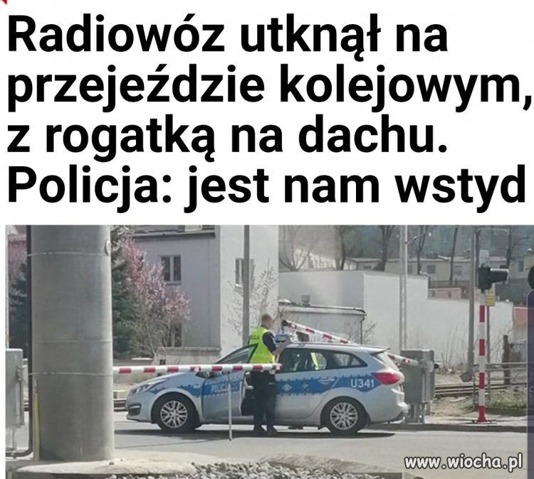 Biedne kulsony.