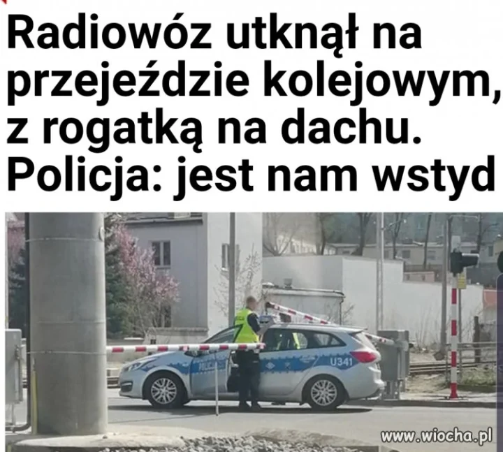 Biedne kulsony.