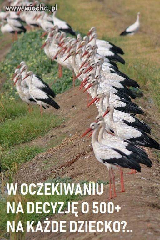 Tymczasem 