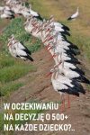 Tymczasem 